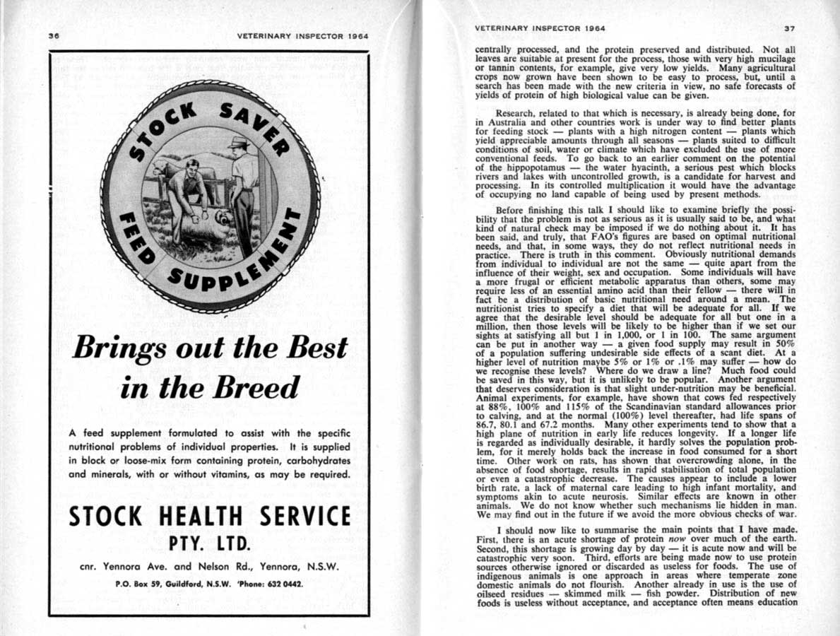 1964 Page 36 37